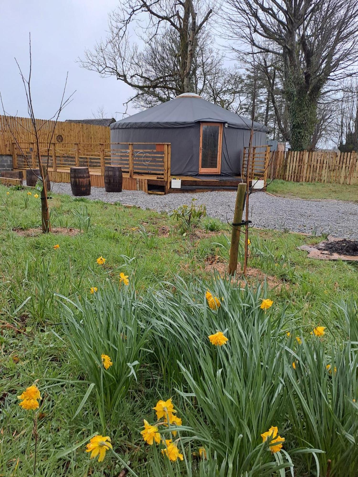 The Snowdrop Otel Galway Dış mekan fotoğraf